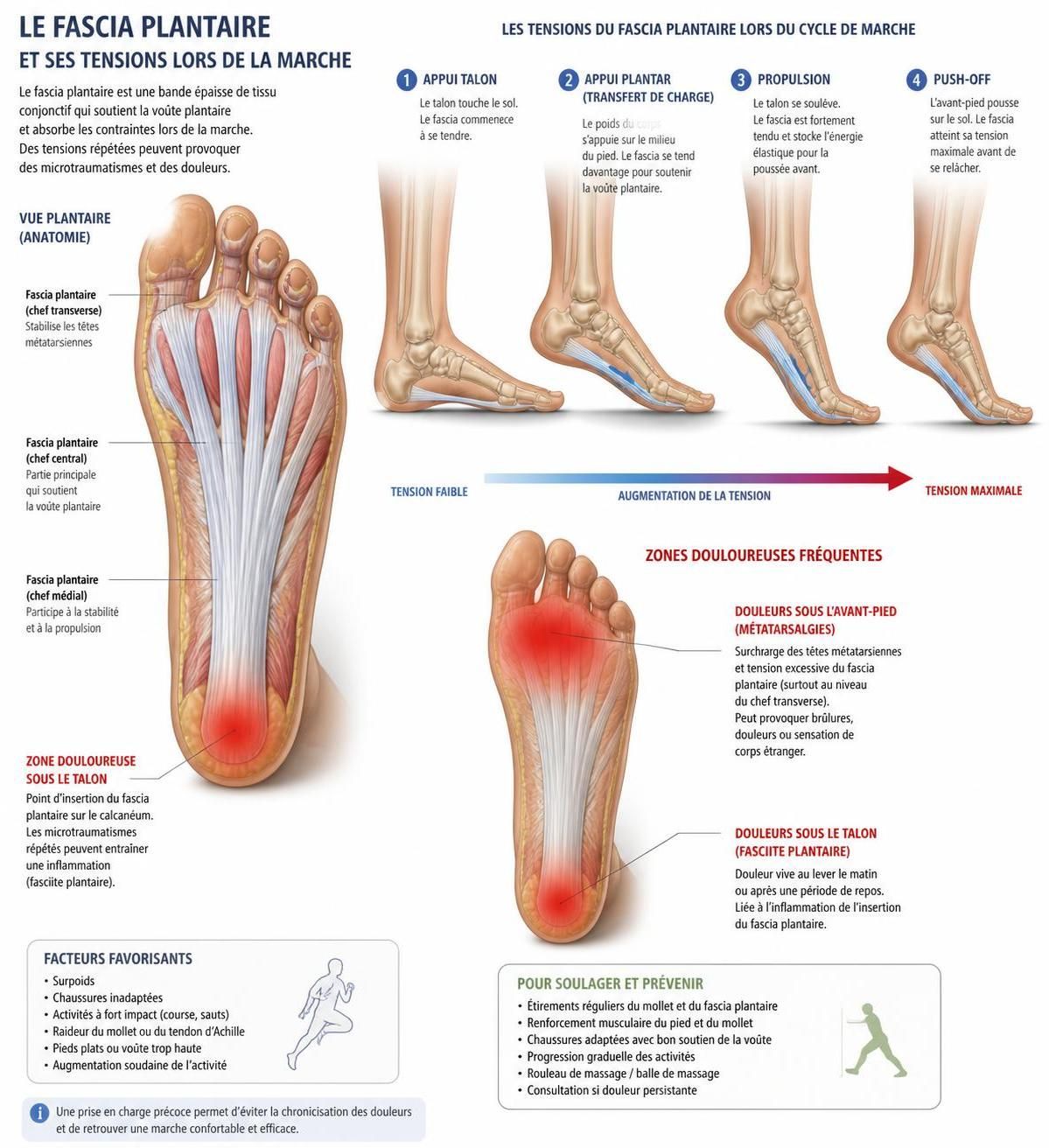 découvrez les causes fréquentes des douleurs plantaires et les solutions efficaces pour soulager vos pieds en 2026. guide complet pour retrouver confort et bien-être.